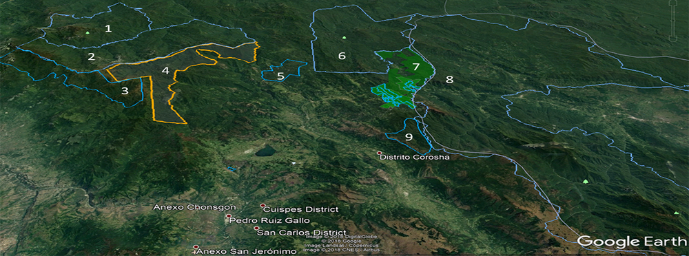 Monte Puyo Private Conservation Area (#4) better connects an existing network of protected areas by extending an adjacent 183,750-acre cluster of three national reserves, including the Cordillera de Colan National Sanctuary (#1), and nearly connecting these with an additional 576,798-acre cluster of five protected areas to the east that includes the Alto Mayo Protected Forest (#8), Rio Nieva Reserved Zone (#6), and Abra Patricia Reserve (#7). Note: Monte Puyo’s boundaries shown on this map are about 6 percent larger than the final approved boundaries.    Click to enlarge map.