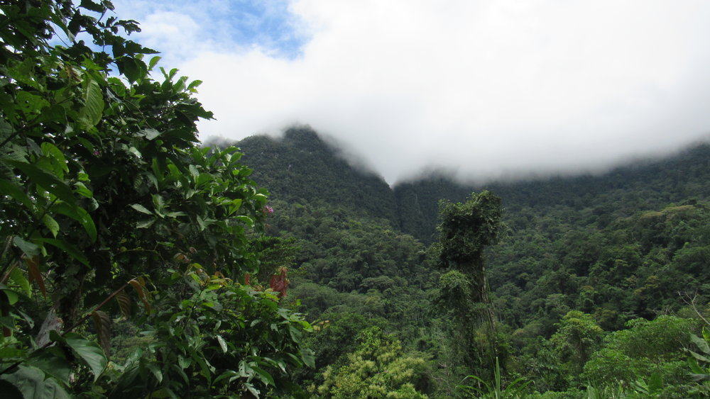 Gran Ochanache Conservation Concession