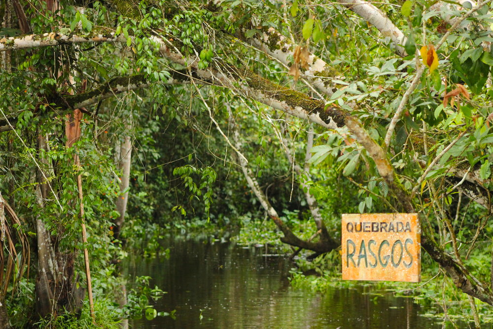 Challachaqui-Renacal de Santa Elena Conservation Concession