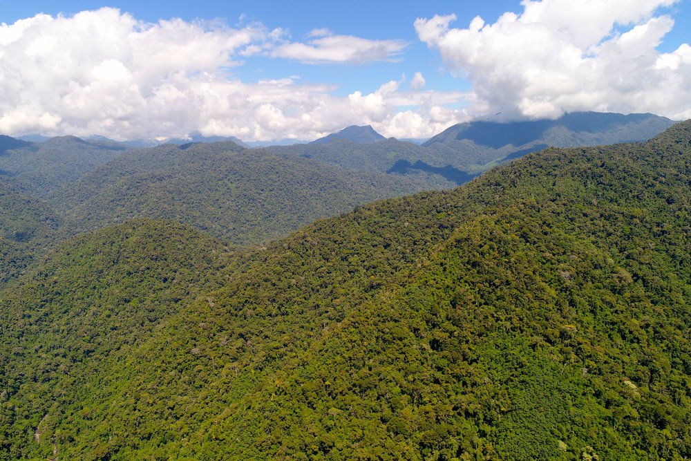 Gran Ochanache Conservation Concession