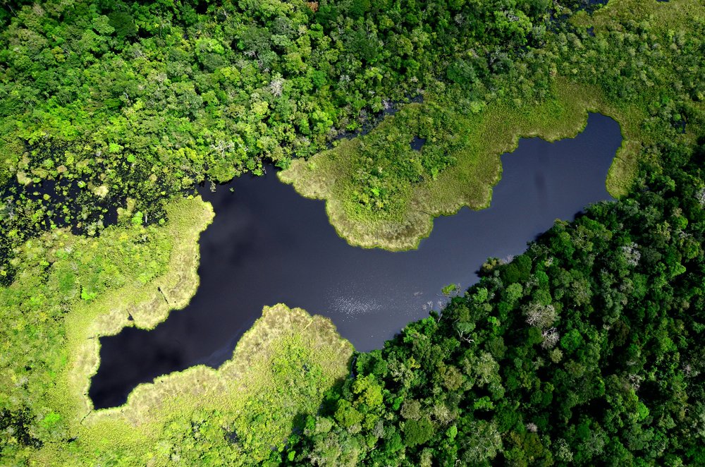 Yaguas National Park is one of the protected areas that the PdP will support.