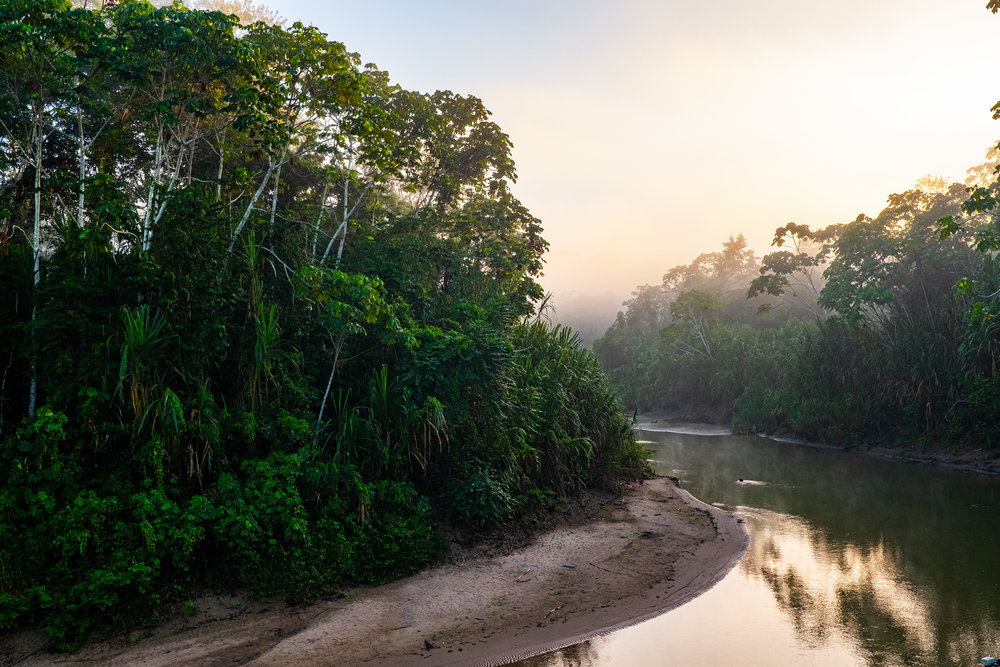 Morning on the Breu River near Oori, Peru.