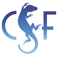 CSF Logo