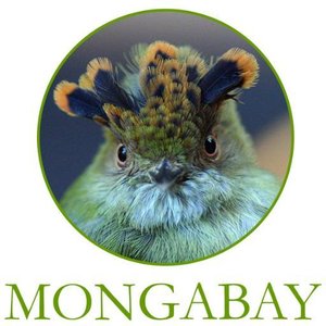 Mongabay Logo