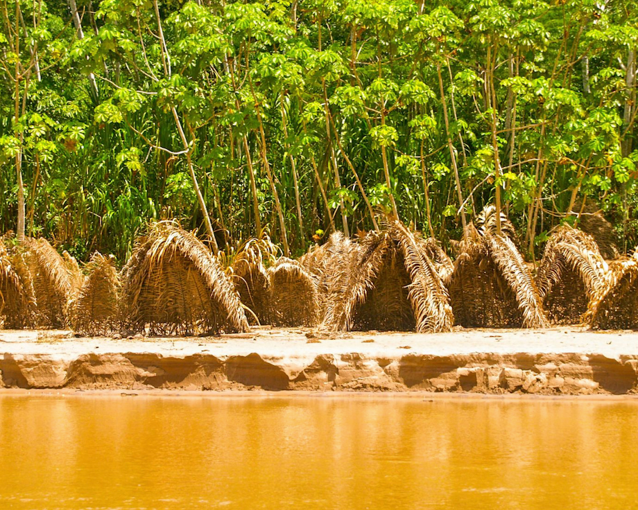 UAC-2 Upper Amazon Conservancy
