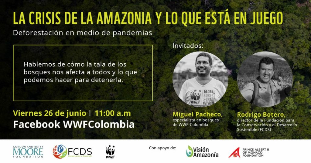 Webinar bosques