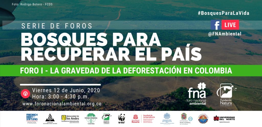 foro1 foro1