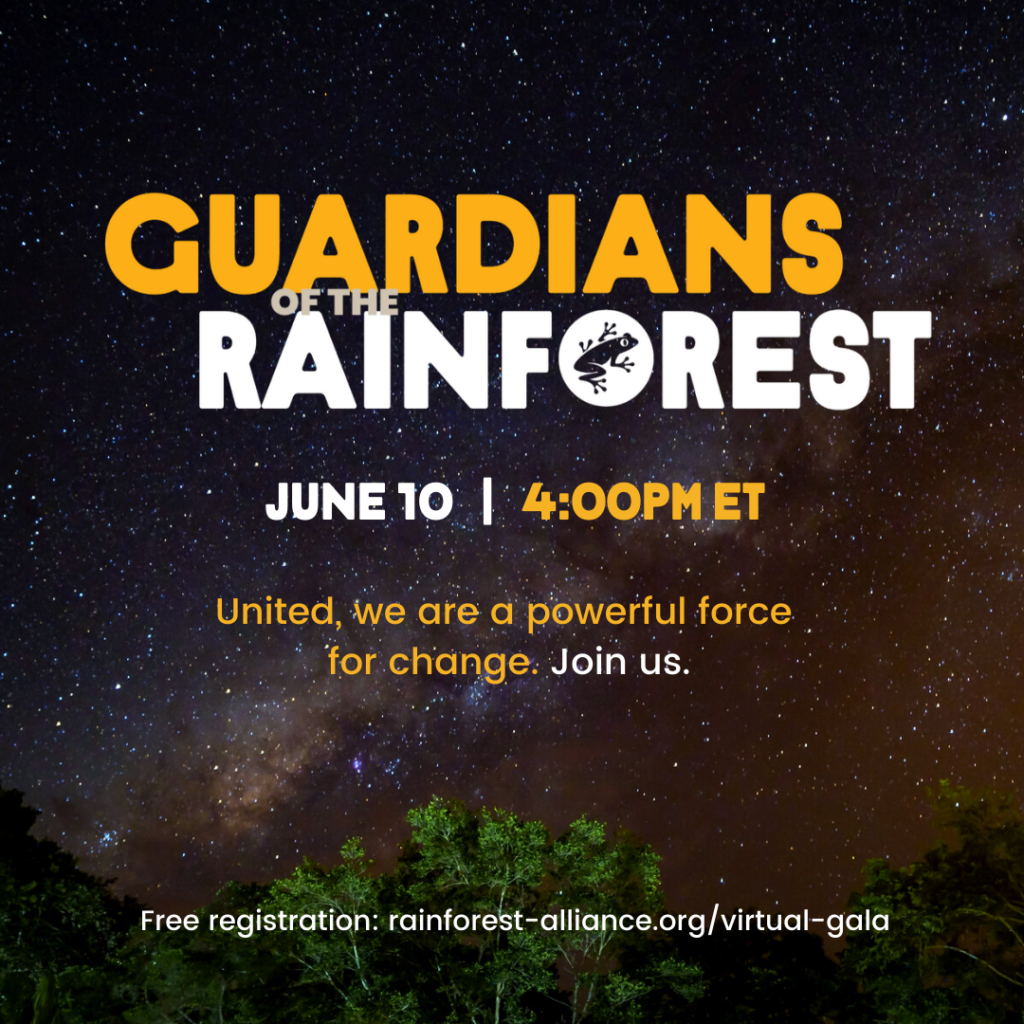 guardians guardians