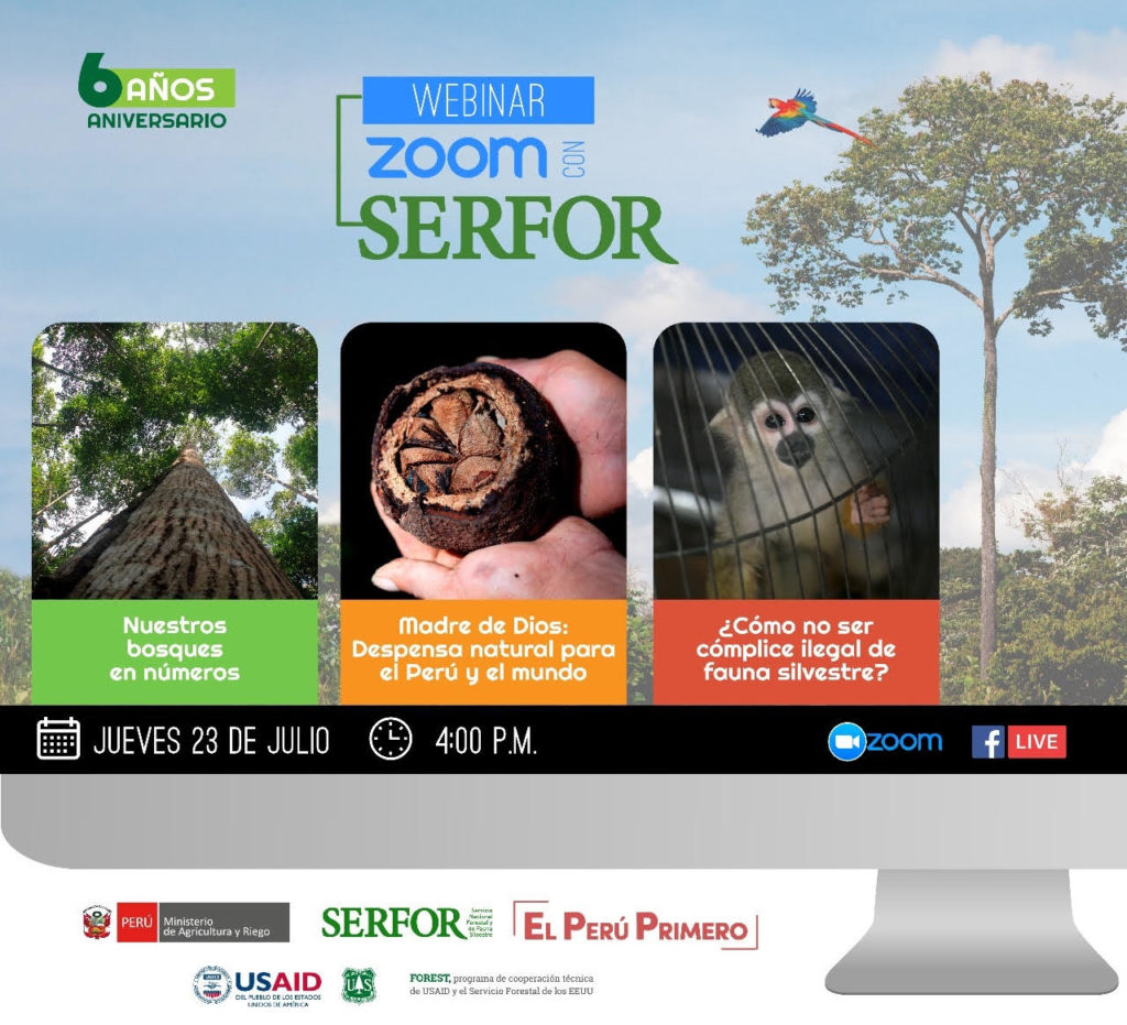 serfor serfor