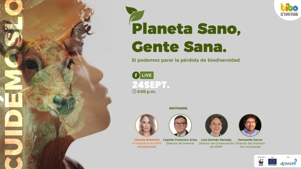 planeta_sano_webinar