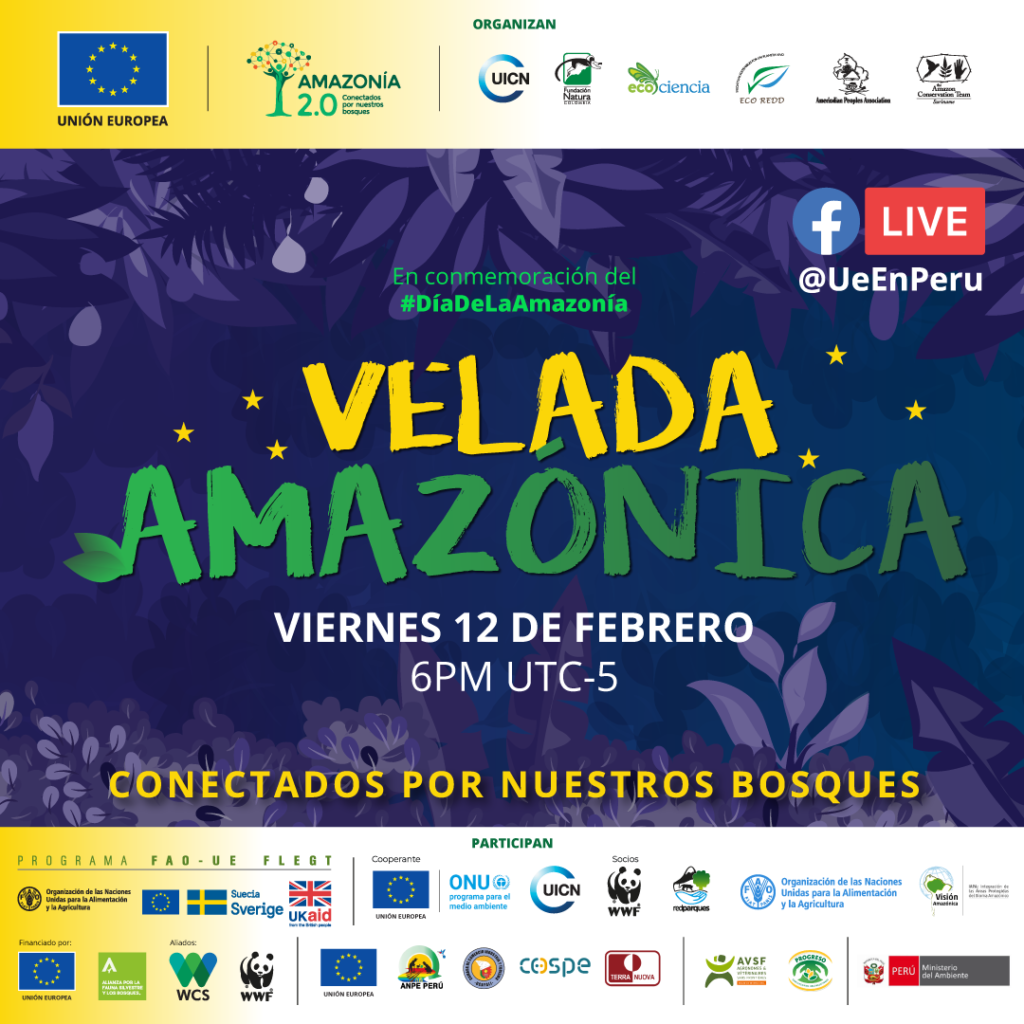 velada_amazonica poster promocional para la velada amazonica