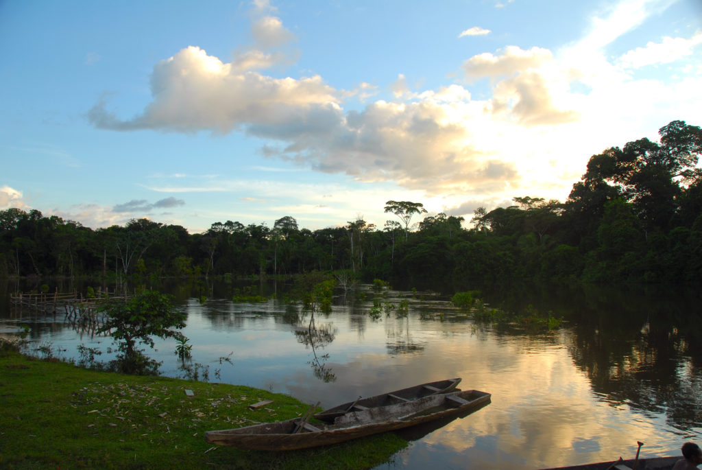 Landscape photo showing river and trees in Maijuna