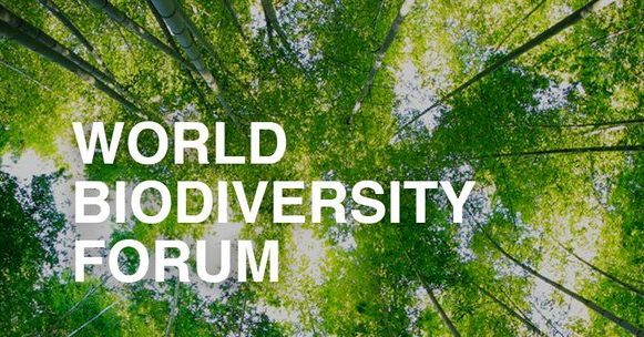 World biodiversity forum poster with trees