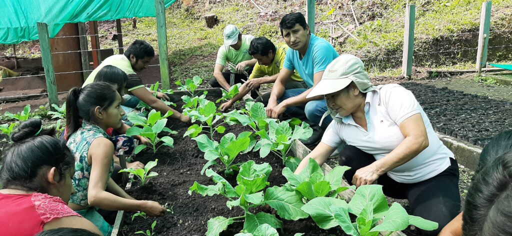 people tending to an organic garden by planting seeds and other plants.