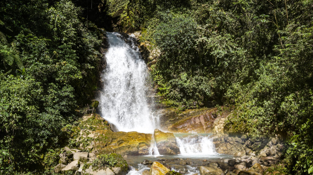 Recurso-agua-PACR-Codo-del-Pozuzo Recurso-agua-PACR-Codo-del-Pozuzo