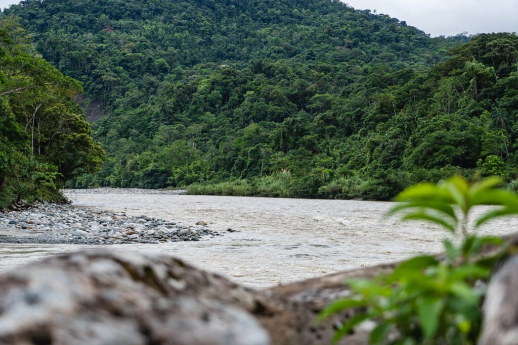 Aguarico River