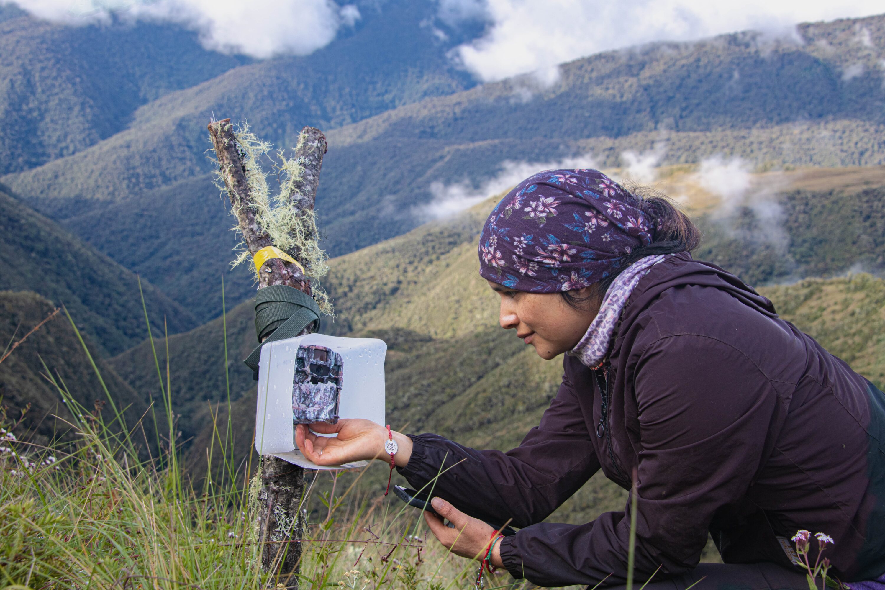 A scientist checking a camera trap at Wayqecha Cloud Forest Research Station ©ACCA